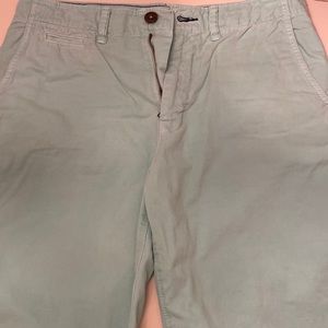 American Eagle Mens Longboard Mint Shorts 31”